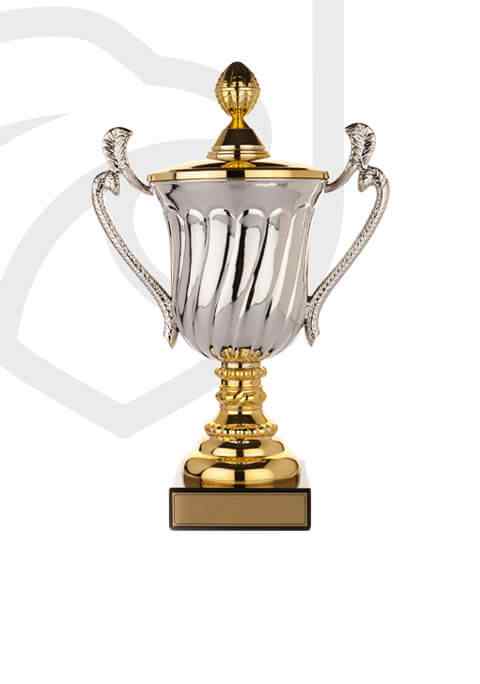 https://vacdukaksk.hu/wp-content/uploads/2022/11/trophy_overlay_02.jpg